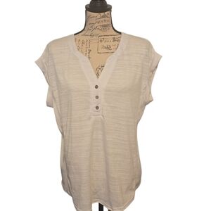 Jane+Delancey Textured V-Neck Blouse Women's Size M Cuffed Sleeve NWoT